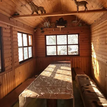 під лісом у гіда Yaremche